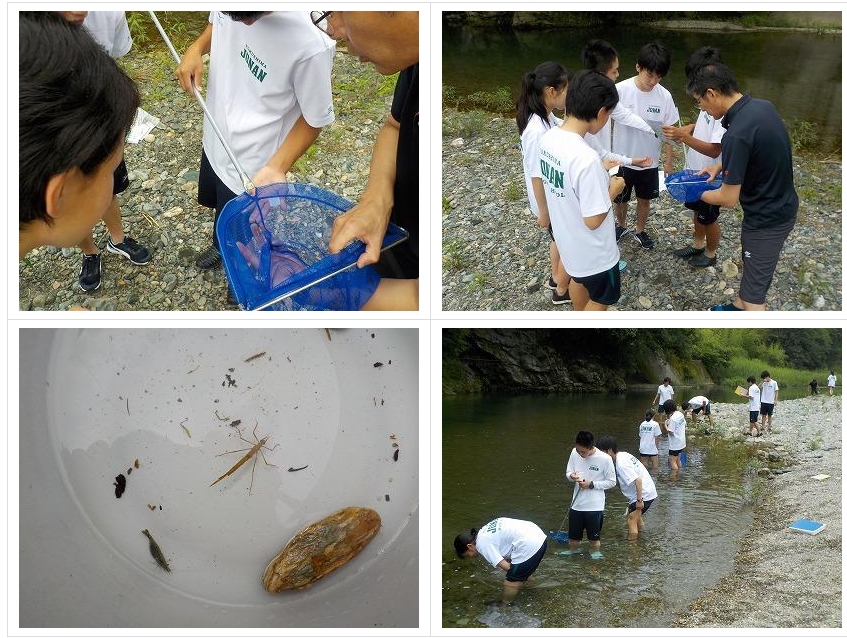 スクリーンショット_24-3-2025_13258_jonan-hs.tokushima-ec.ed.jp