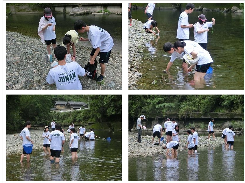 スクリーンショット_24-3-2025_132520_jonan-hs.tokushima-ec.ed.jp