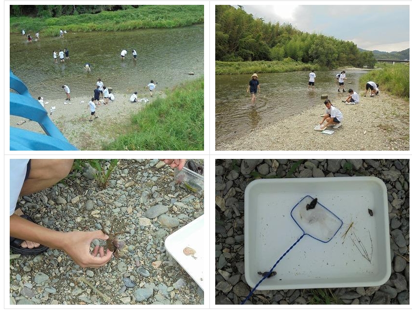 スクリーンショット_24-3-2025_132533_jonan-hs.tokushima-ec.ed.jp