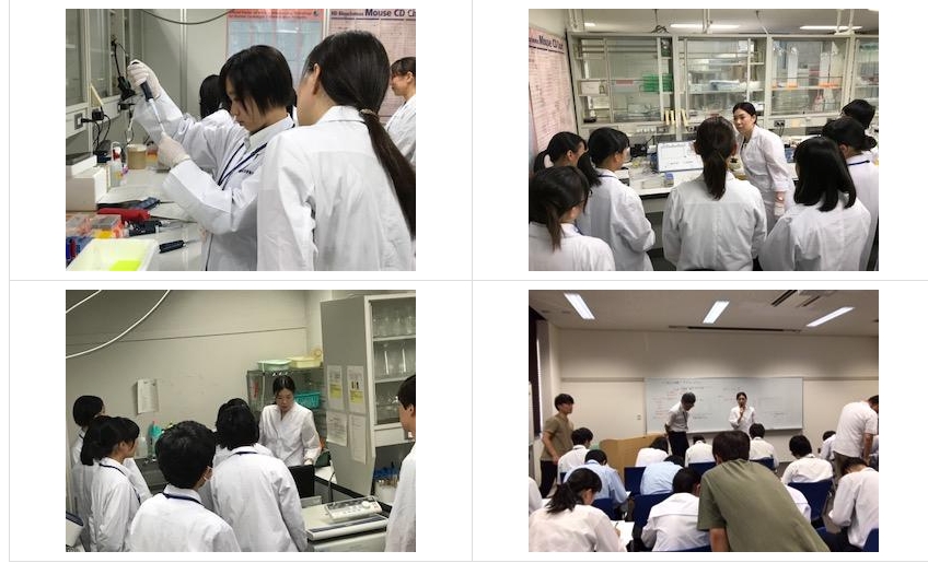 スクリーンショット_24-3-2025_133214_jonan-hs.tokushima-ec.ed.jp