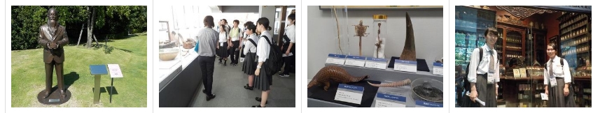 スクリーンショット_24-3-2025_133349_jonan-hs.tokushima-ec.ed.jp