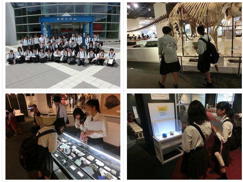 スクリーンショット_24-3-2025_134252_jonan-hs.tokushima-ec.ed.jp