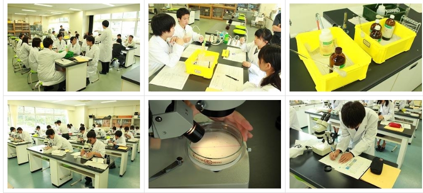 スクリーンショット_24-3-2025_135020_jonan-hs.tokushima-ec.ed.jp