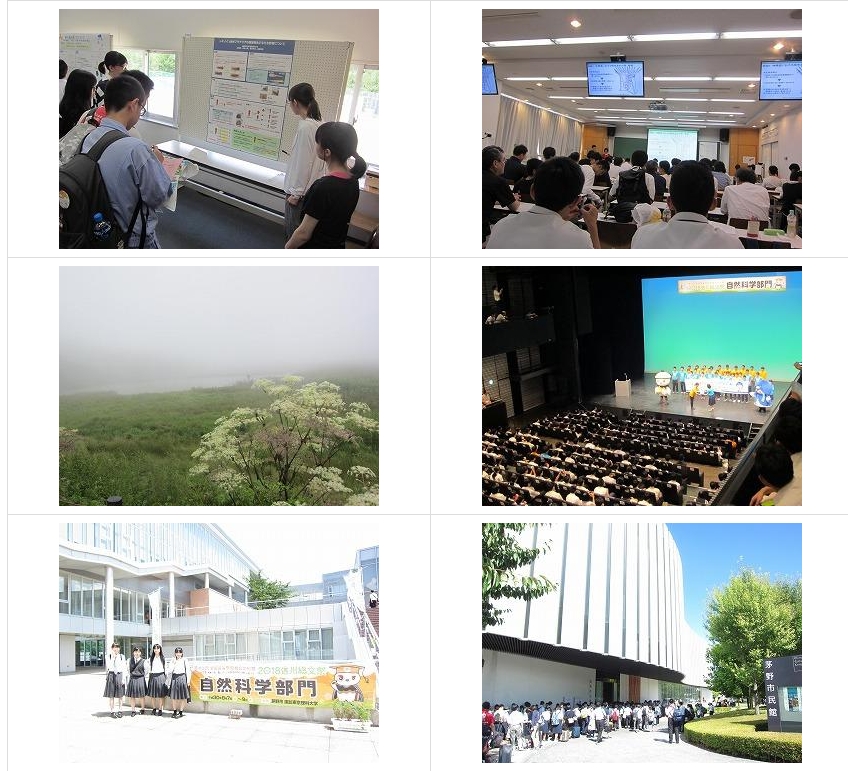 スクリーンショット_24-3-2025_144028_jonan-hs.tokushima-ec.ed.jp