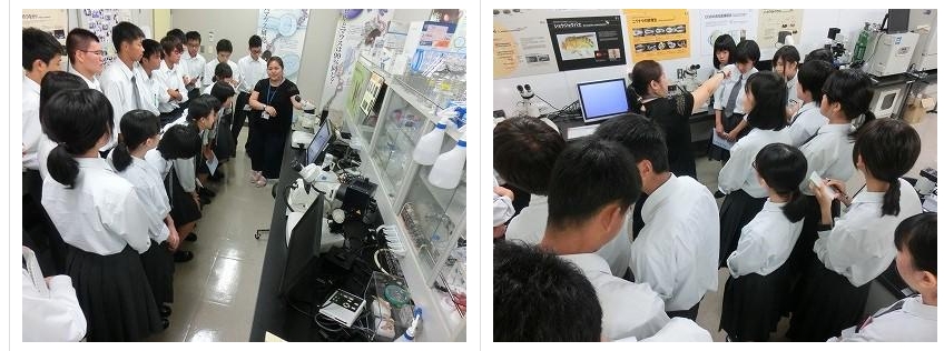 スクリーンショット_24-3-2025_144236_jonan-hs.tokushima-ec.ed.jp