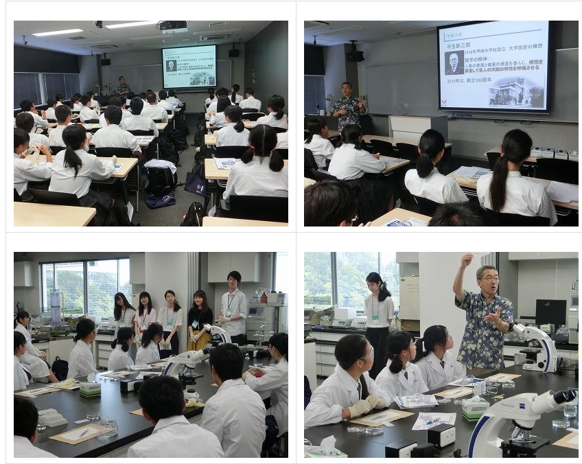 スクリーンショット_24-3-2025_14435_jonan-hs.tokushima-ec.ed.jp