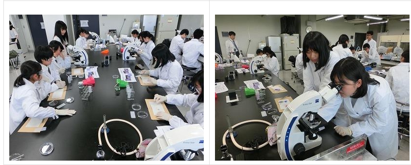 スクリーンショット_24-3-2025_144316_jonan-hs.tokushima-ec.ed.jp