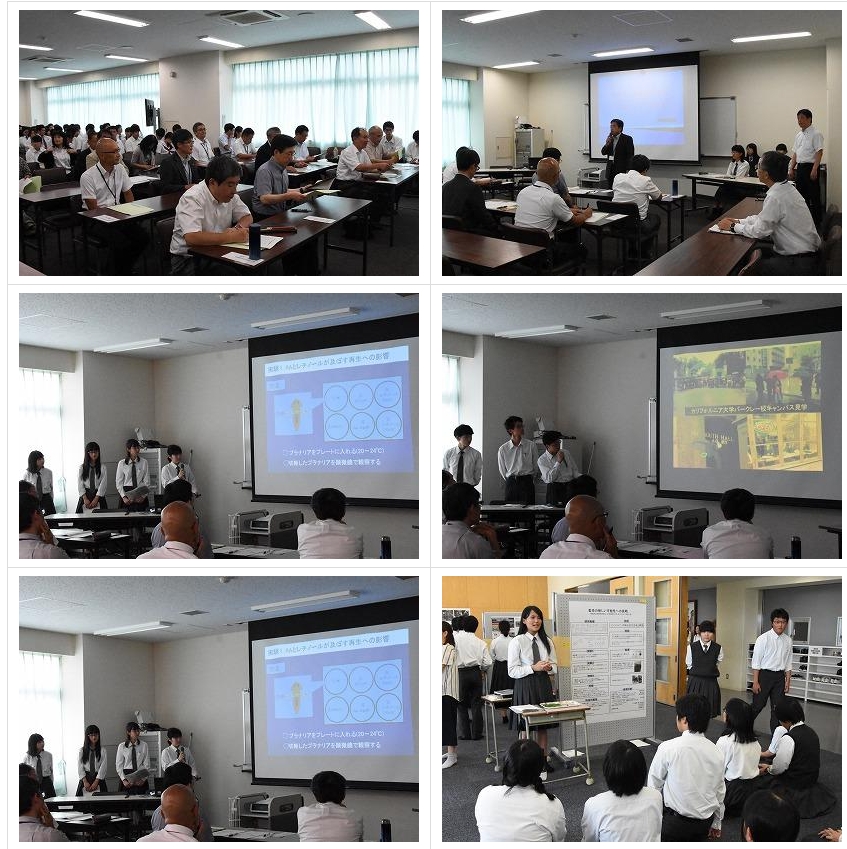 スクリーンショット_24-3-2025_14489_jonan-hs.tokushima-ec.ed.jp