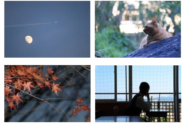 スクリーンショット_28-3-2025_12432_jonan-hs.tokushima-ec.ed.jp