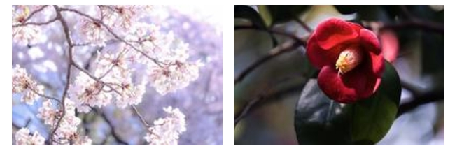 スクリーンショット_28-3-2025_124329_jonan-hs.tokushima-ec.ed.jp