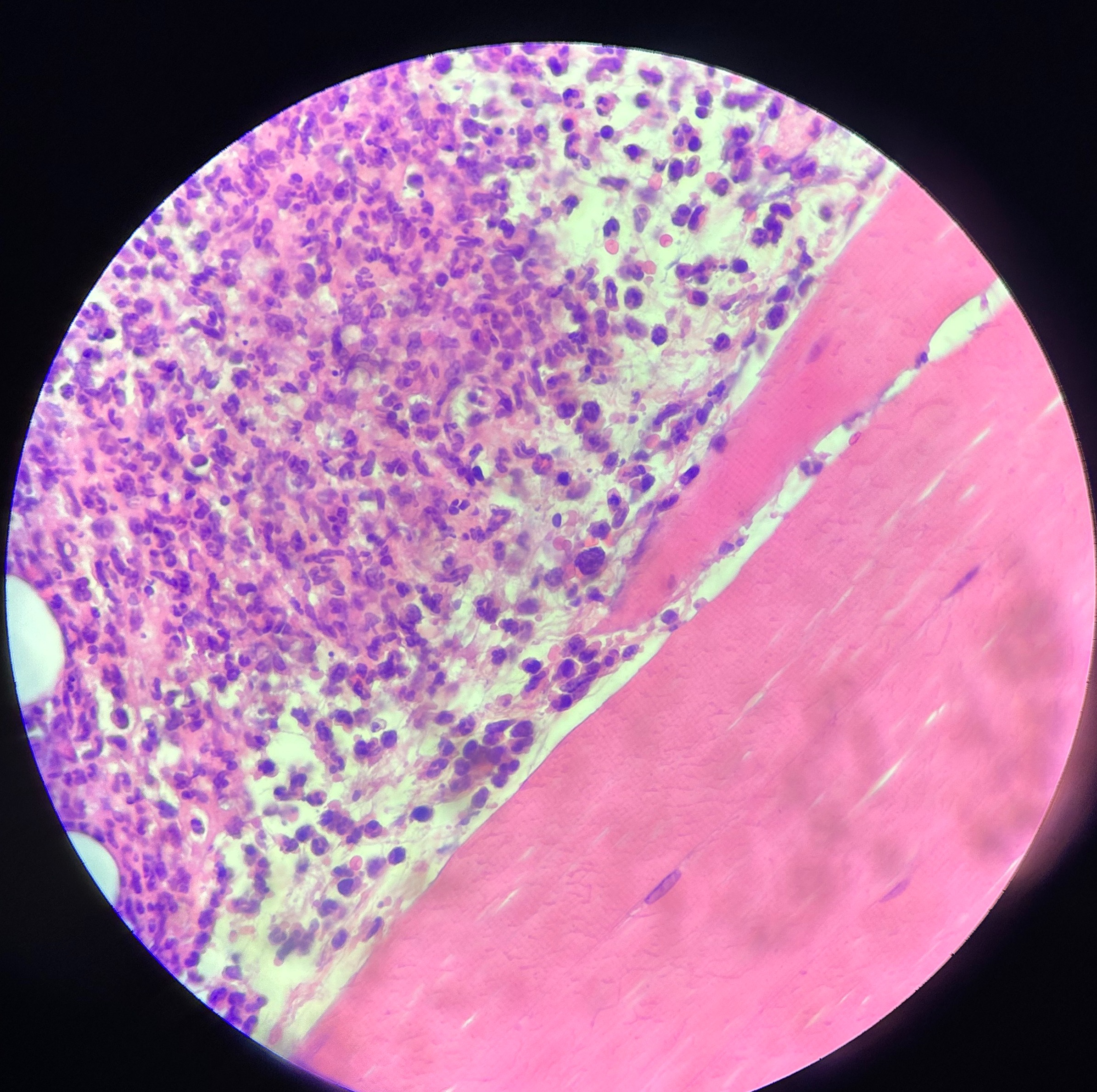 306EDE43-D766-4A23-A1EF-734FC3981983