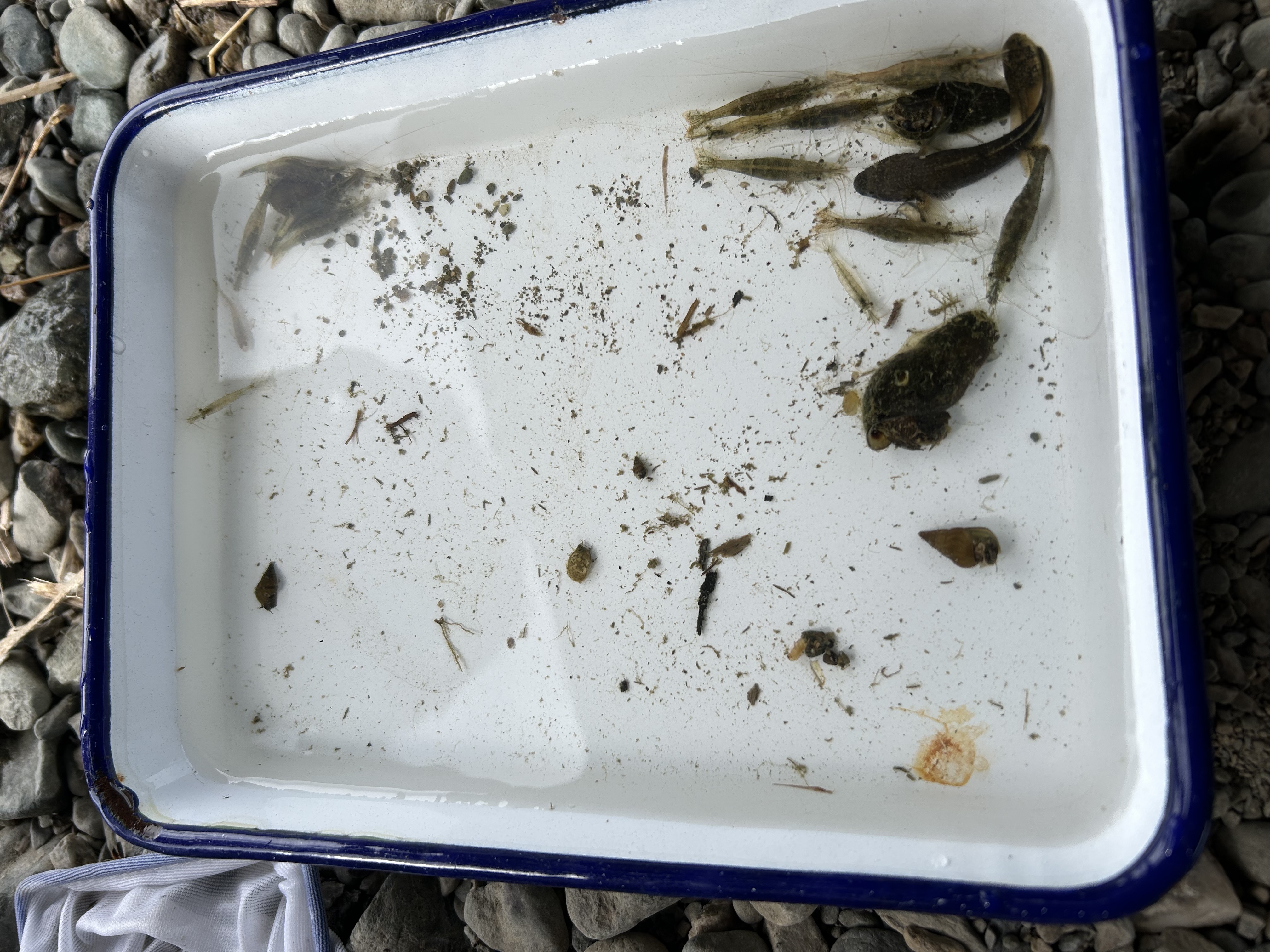 BCD1560C-FA34-4E74-81CD-8D76BF600499