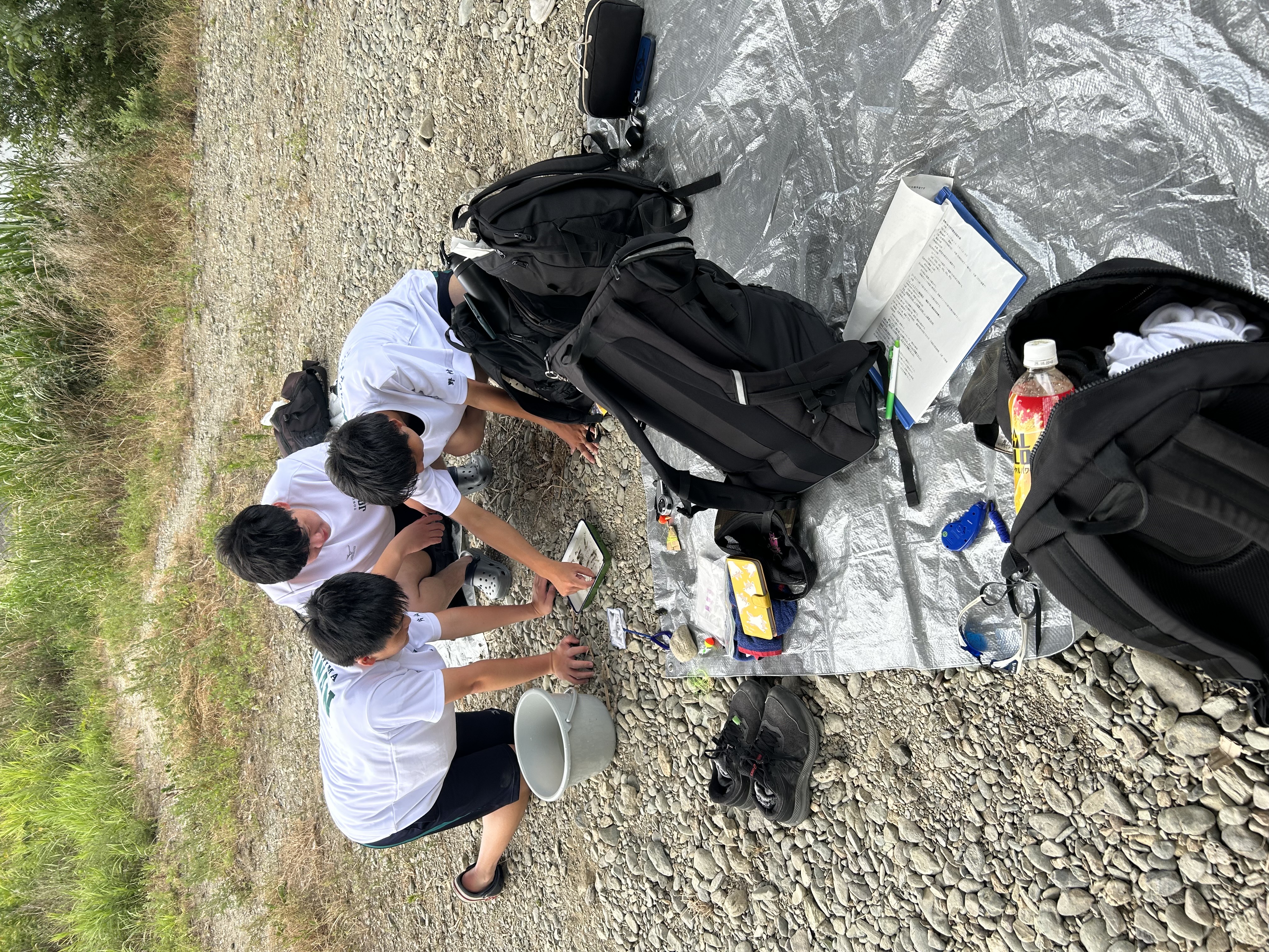 32DA04D4-8740-468D-B1C2-B12C66EA1829