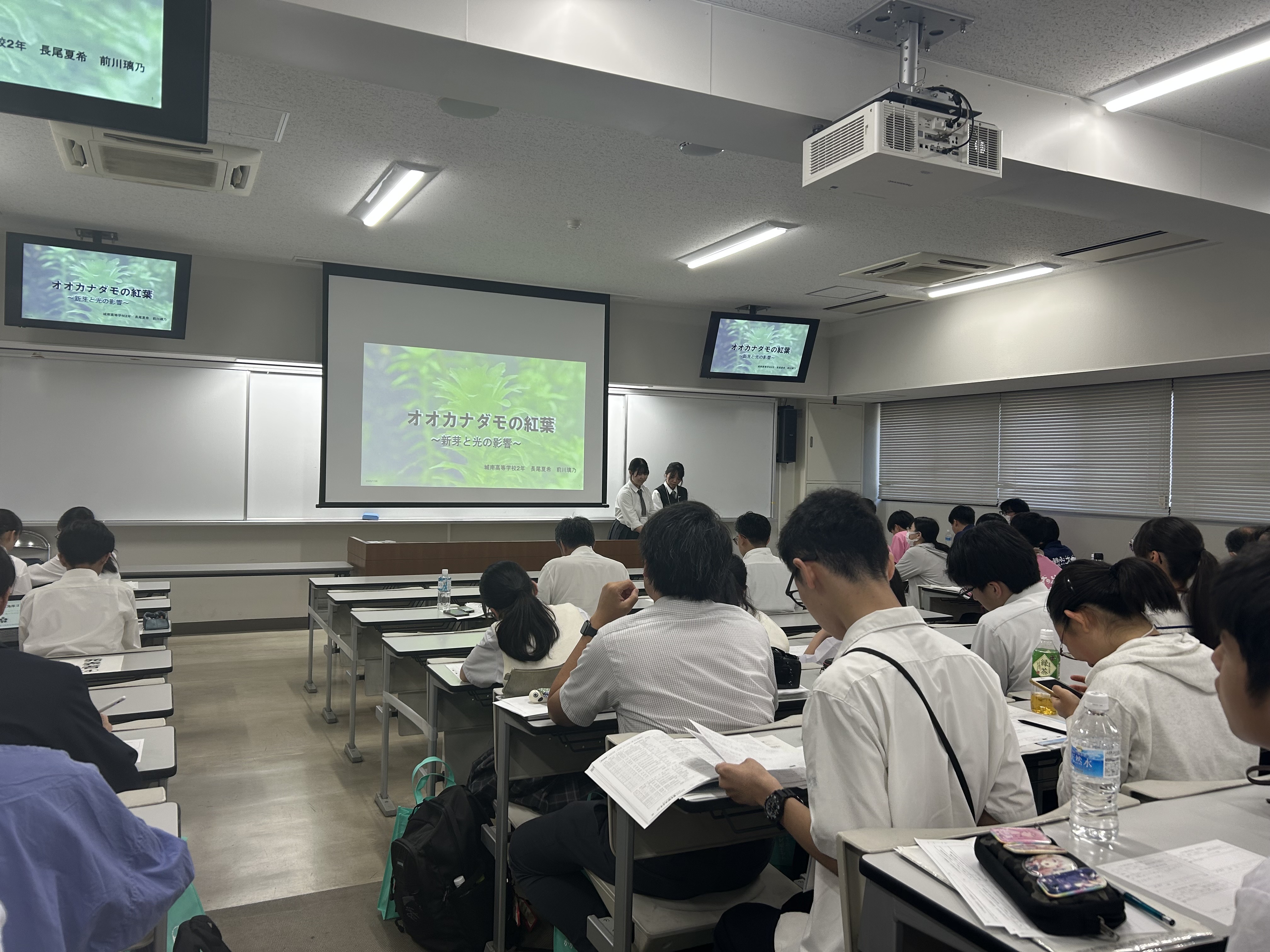 261A181A-D61E-40ED-A54A-BF7042DDDF93