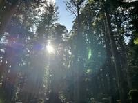 A4C6629B-AFDE-42FB-B328-3D84540ADA6B