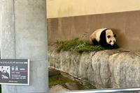 6A2ADADF-1F5E-402A-98C0-31AE0BC2F5F5