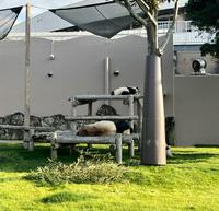 F48518A2-FC00-40B0-BC08-A05B3FD6FBCD