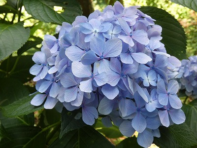P1250920
